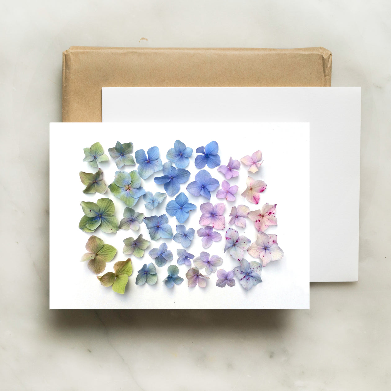 Card - Hydrangea ombré