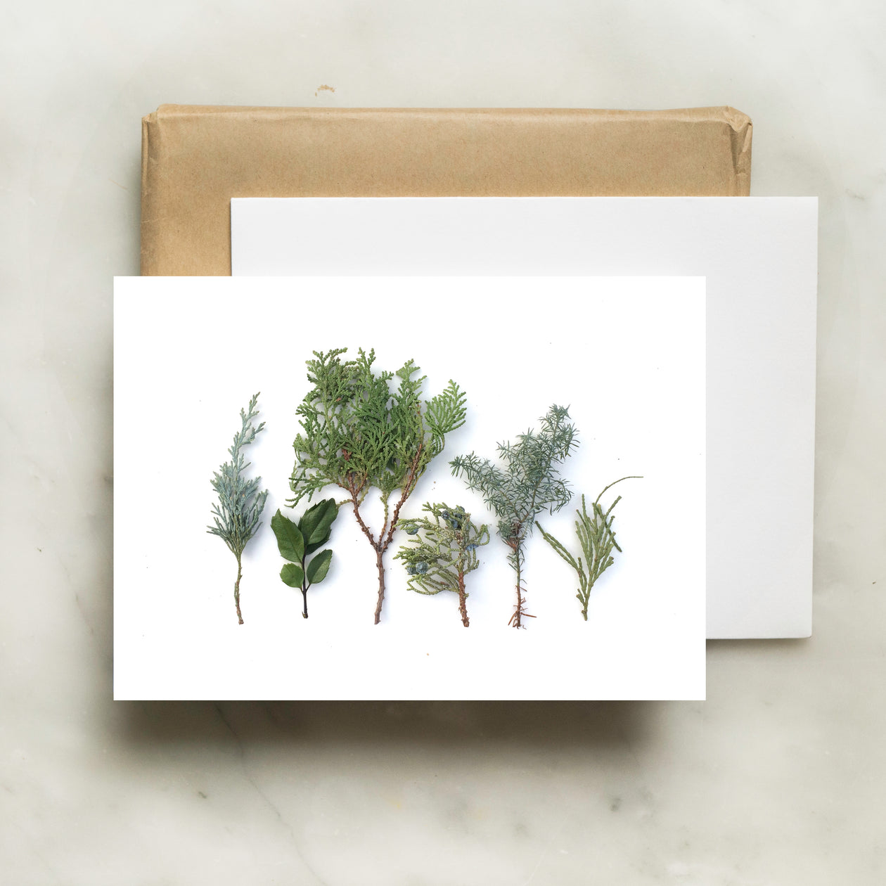 Folding card - Baby evergreens
