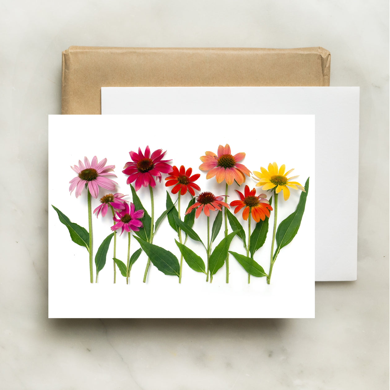 Folding card - Coneflowers