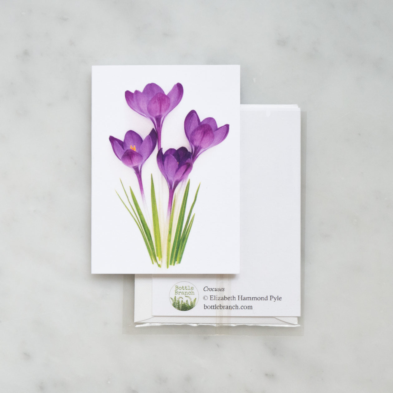 Mini card - crocus