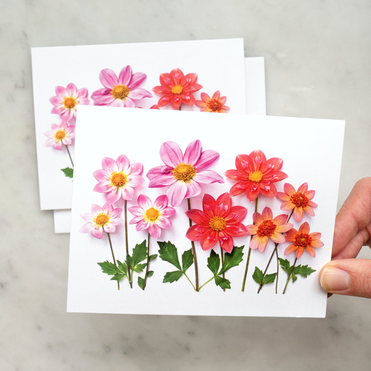 Folding card - Dahlias