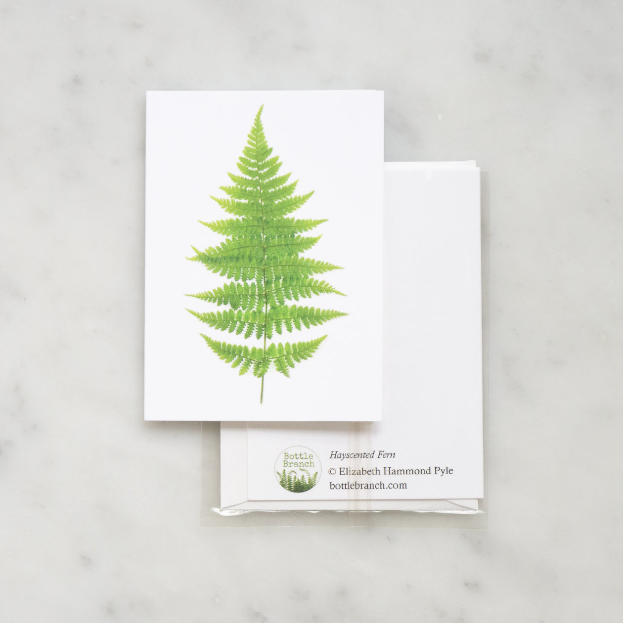 Mini card - Fern