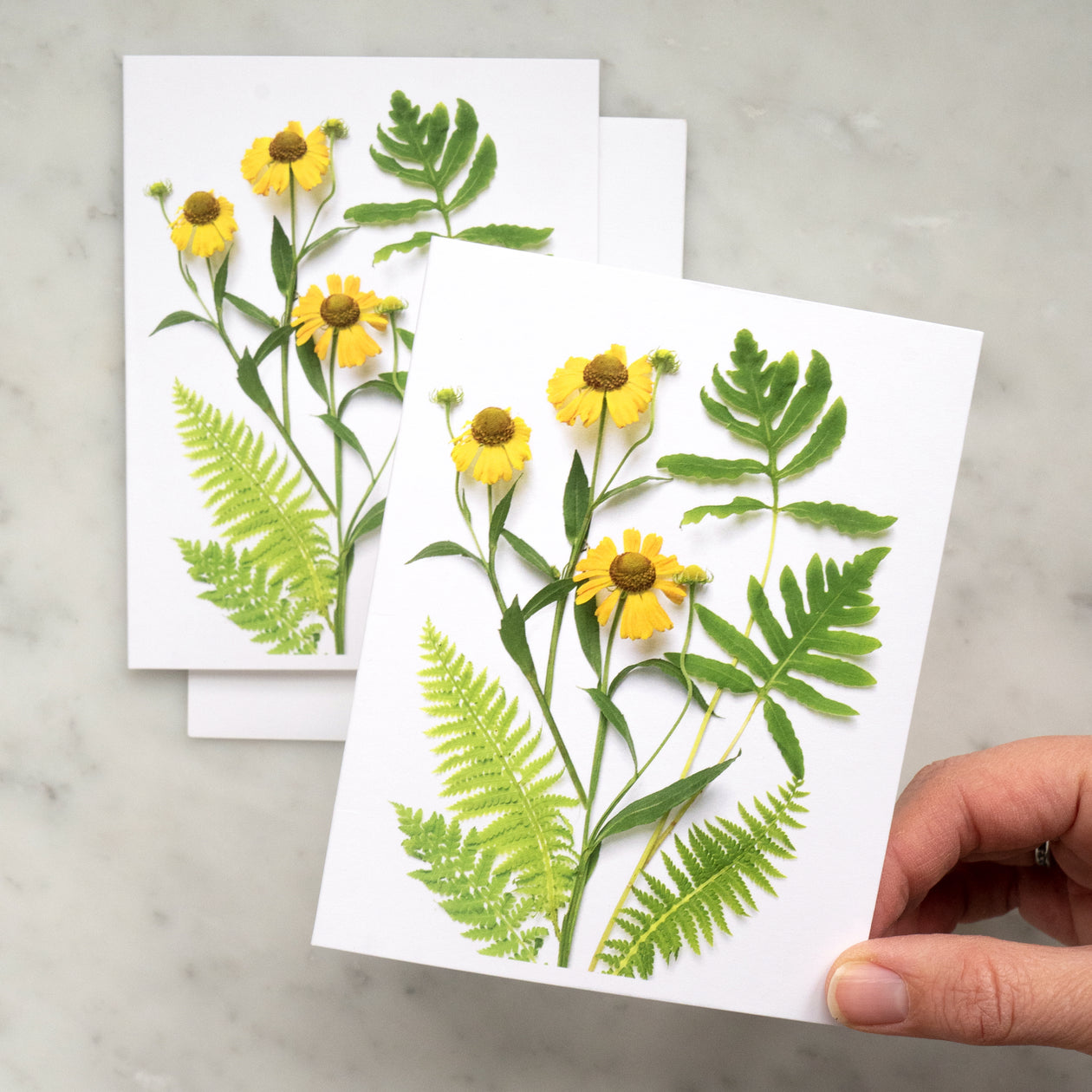 Folding card - Ferns and Helenium