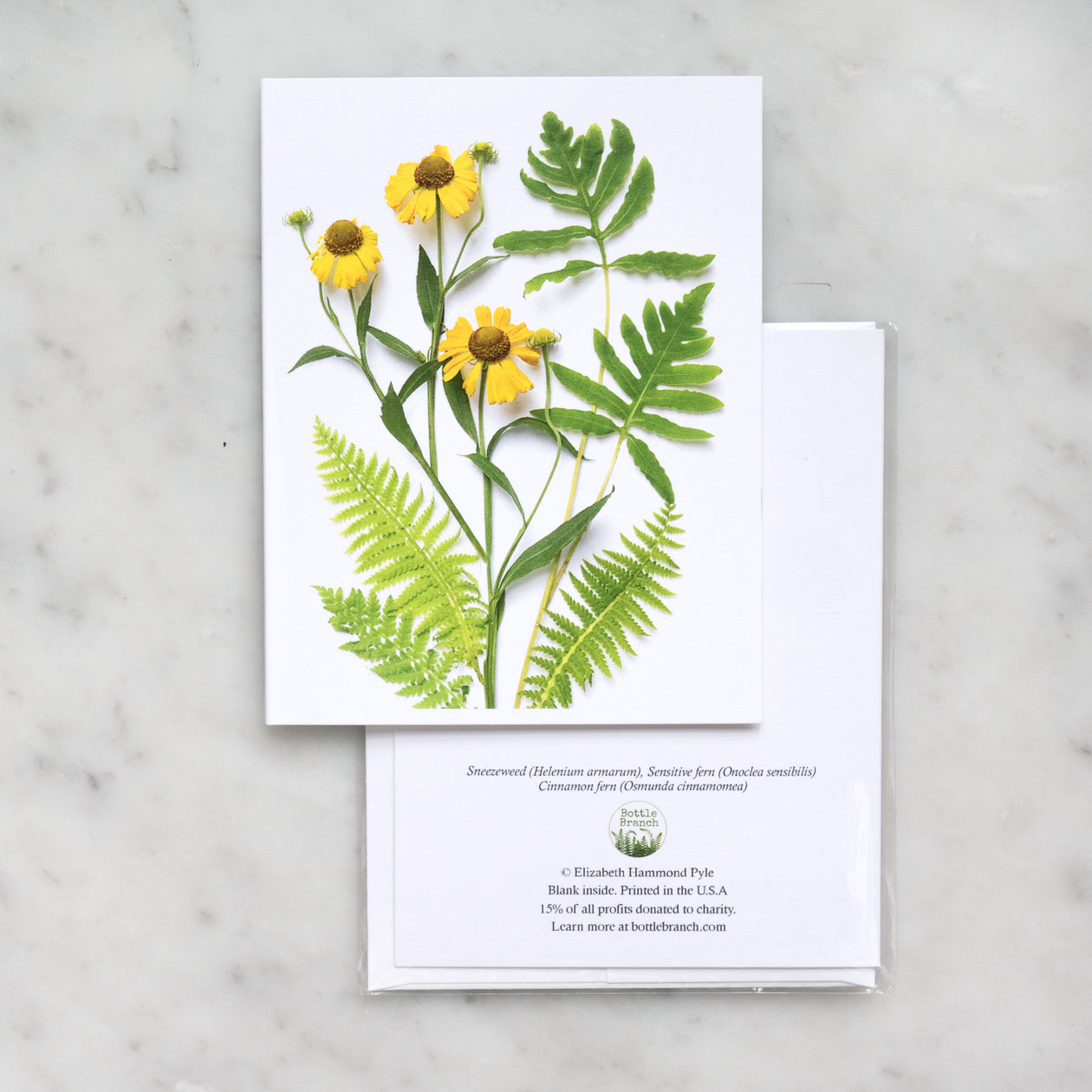 Folding card - Ferns and Helenium