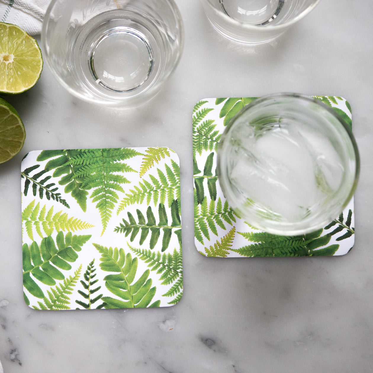 Coasters - Ferns