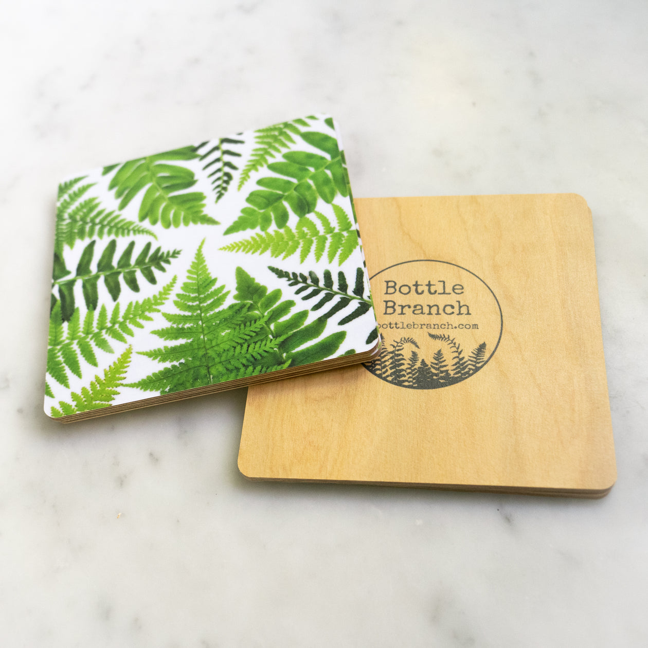 Coasters - Ferns