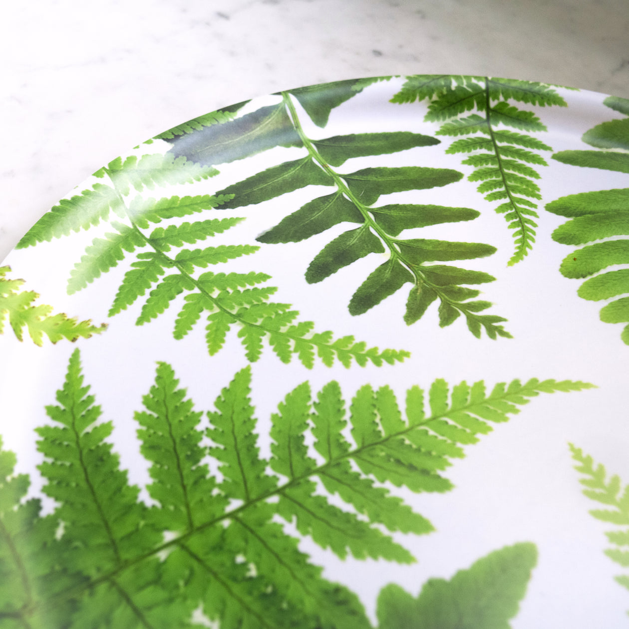 Round Tray - Ferns