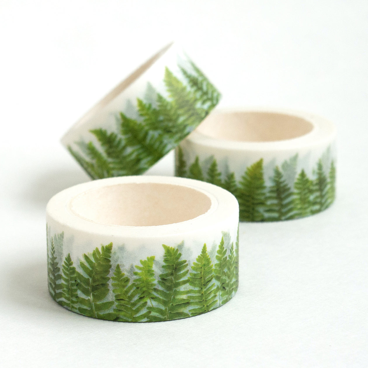 Washi - ferns