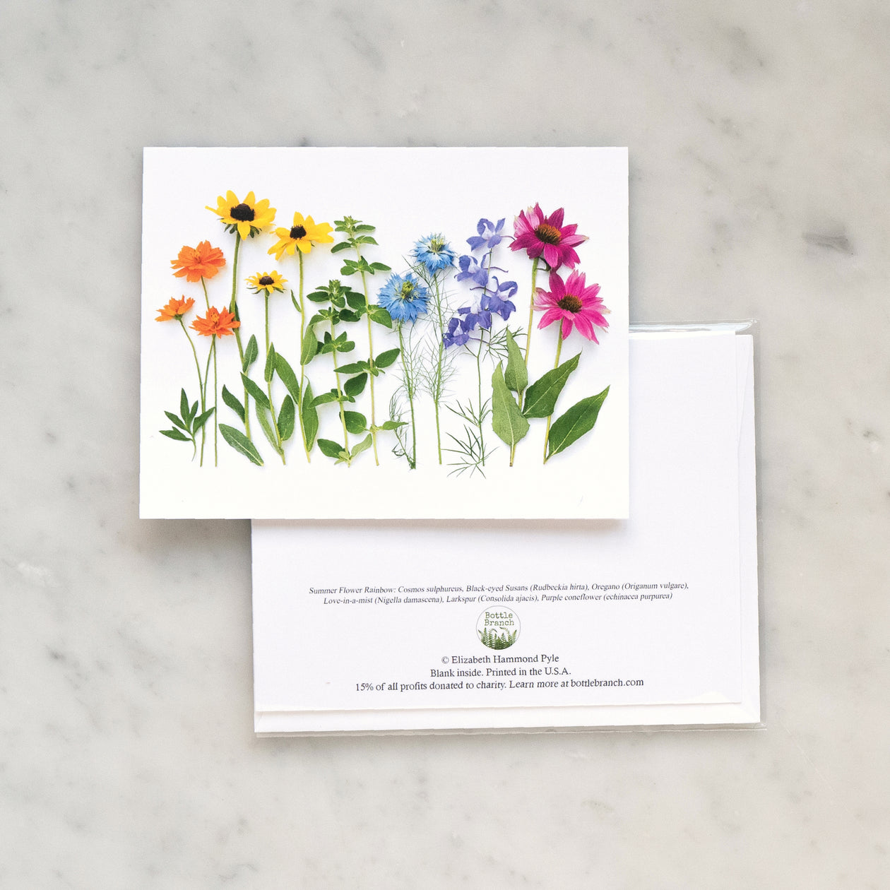 Folding card - Rainbow with Coneflower