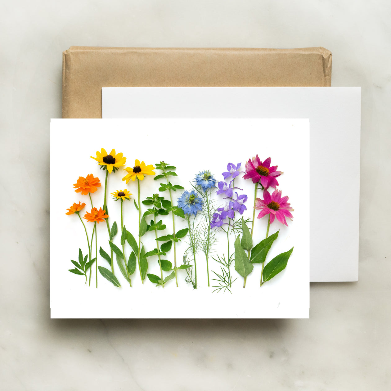 Folding card - Rainbow with Coneflower