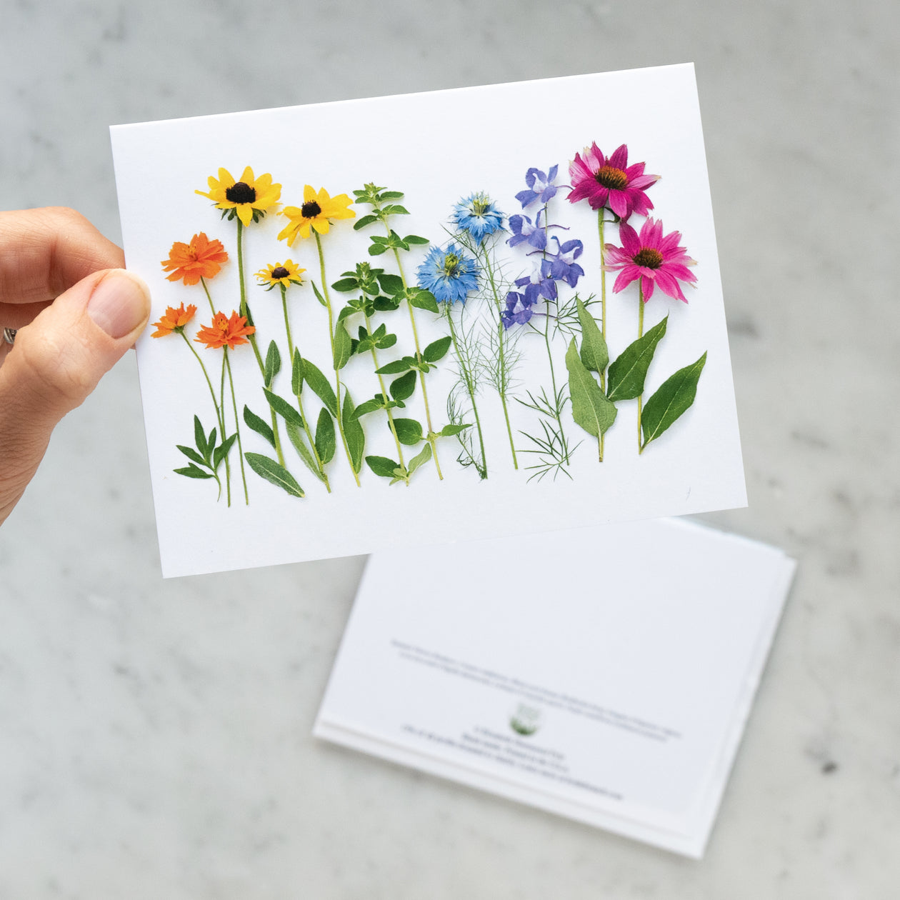 Folding card - Rainbow with Coneflower