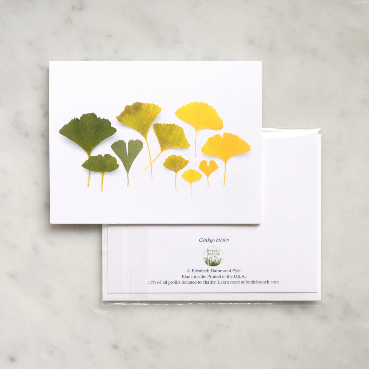 Folding card - Ginkgo