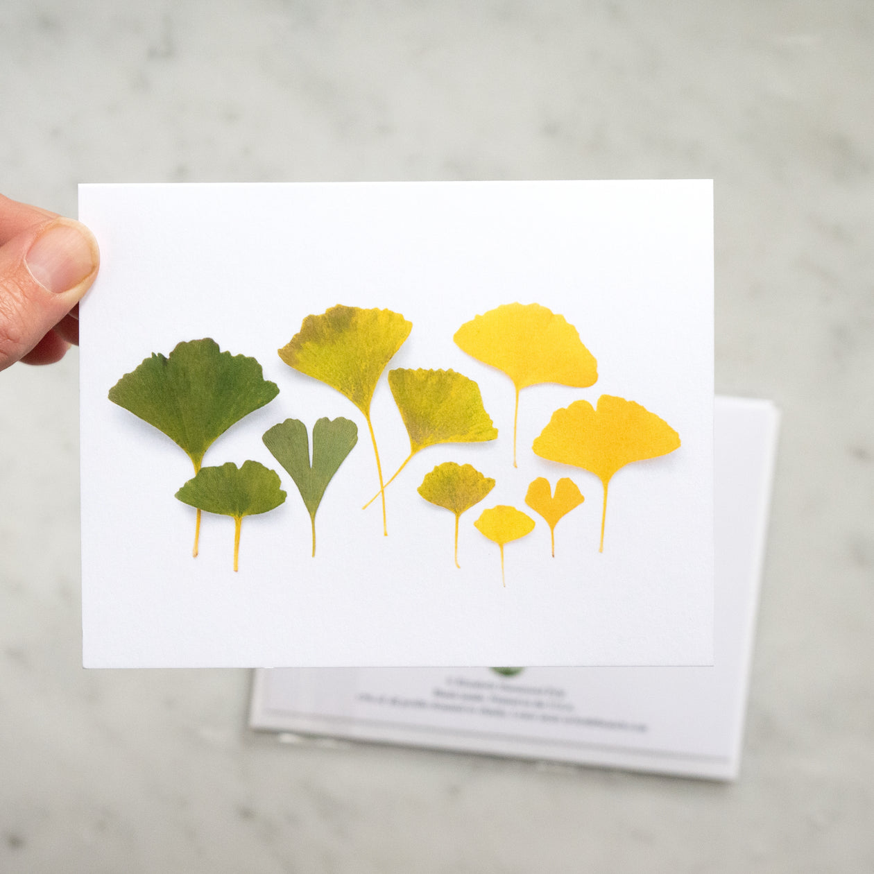 Folding card - Ginkgo