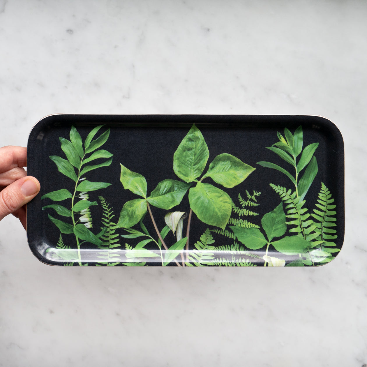 Tray - Greenery, Small