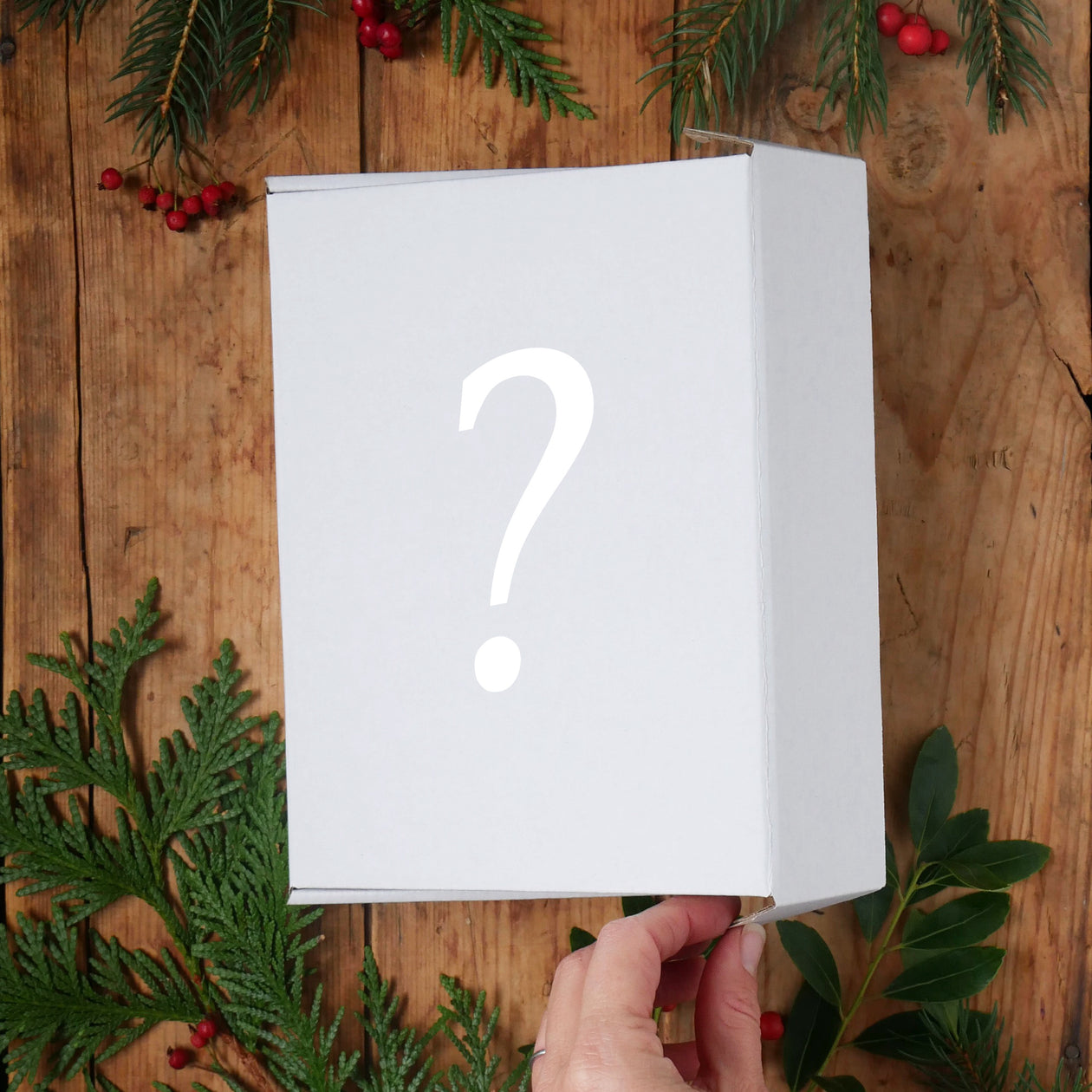 Mystery Box - holiday paper lover's edition