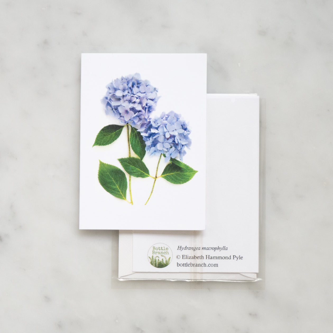 Mini card - hydrangea