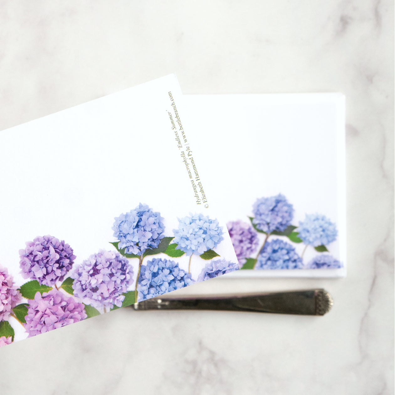 Flat card set - Hydrangea