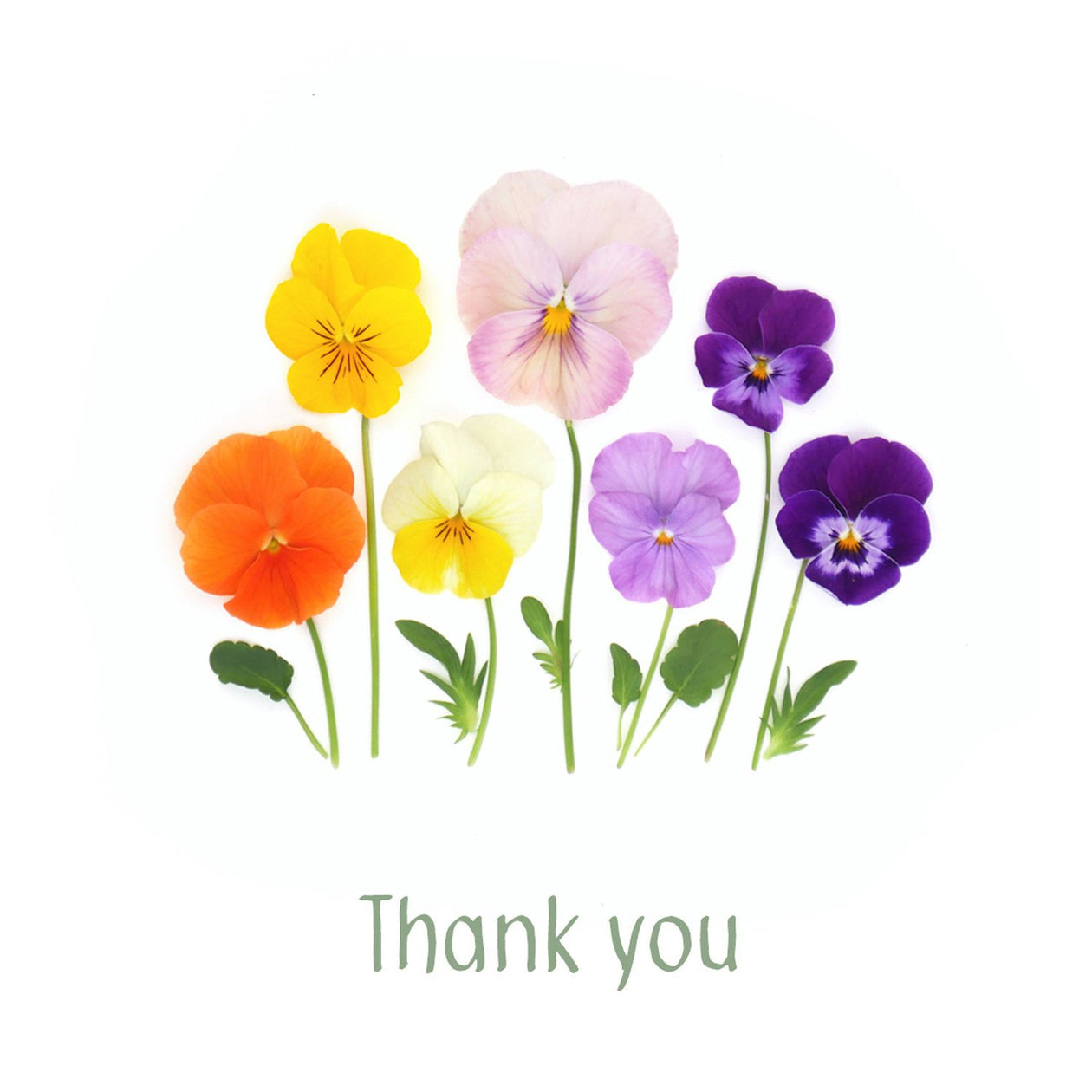 Thank you card with pansies
