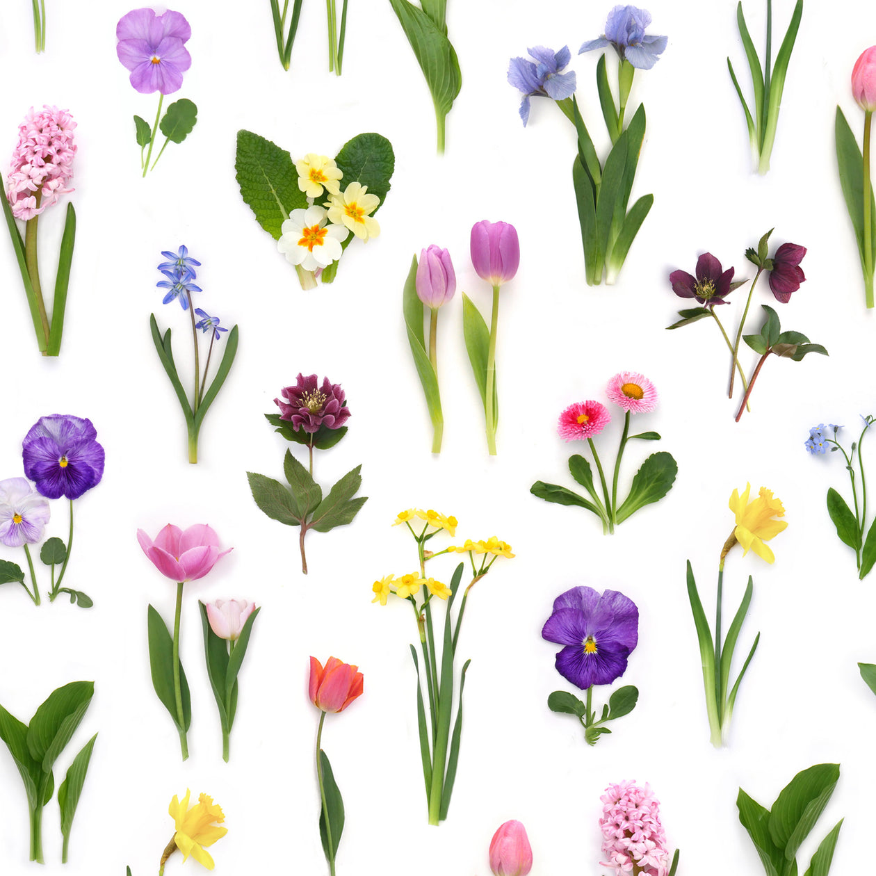 Gift wrap ~ spring flowers