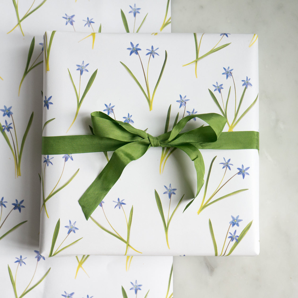 Gift wrap ~ blue scilla