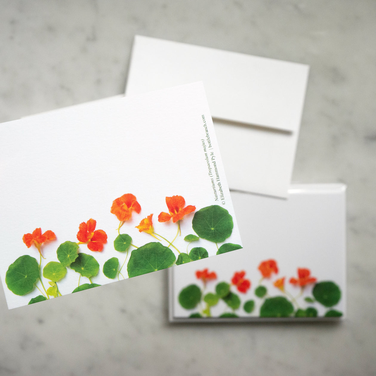 Flat Card set - Nasturtiums