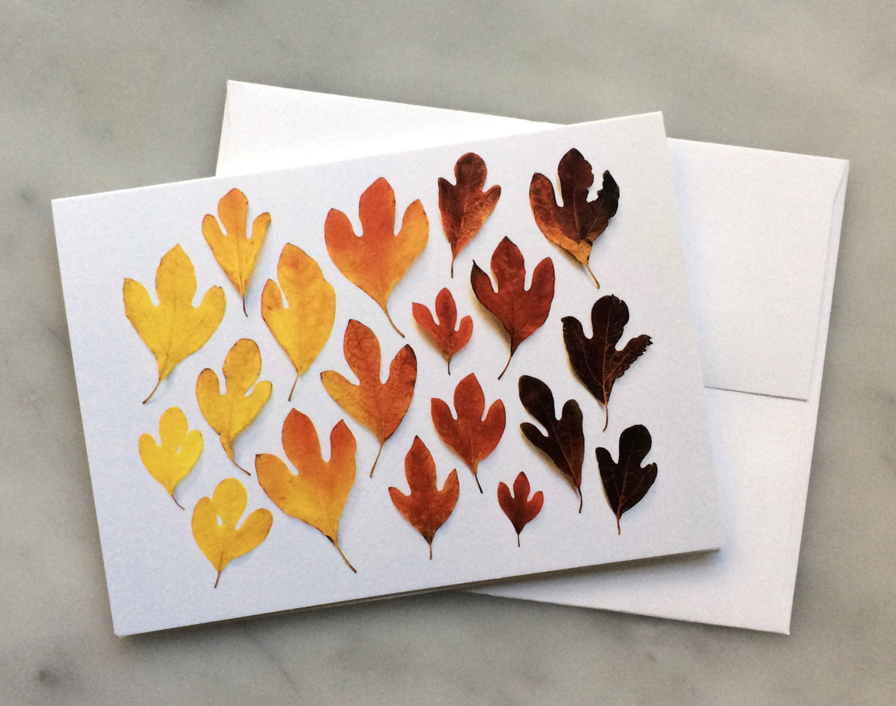 Folding card - Sassafras ombré