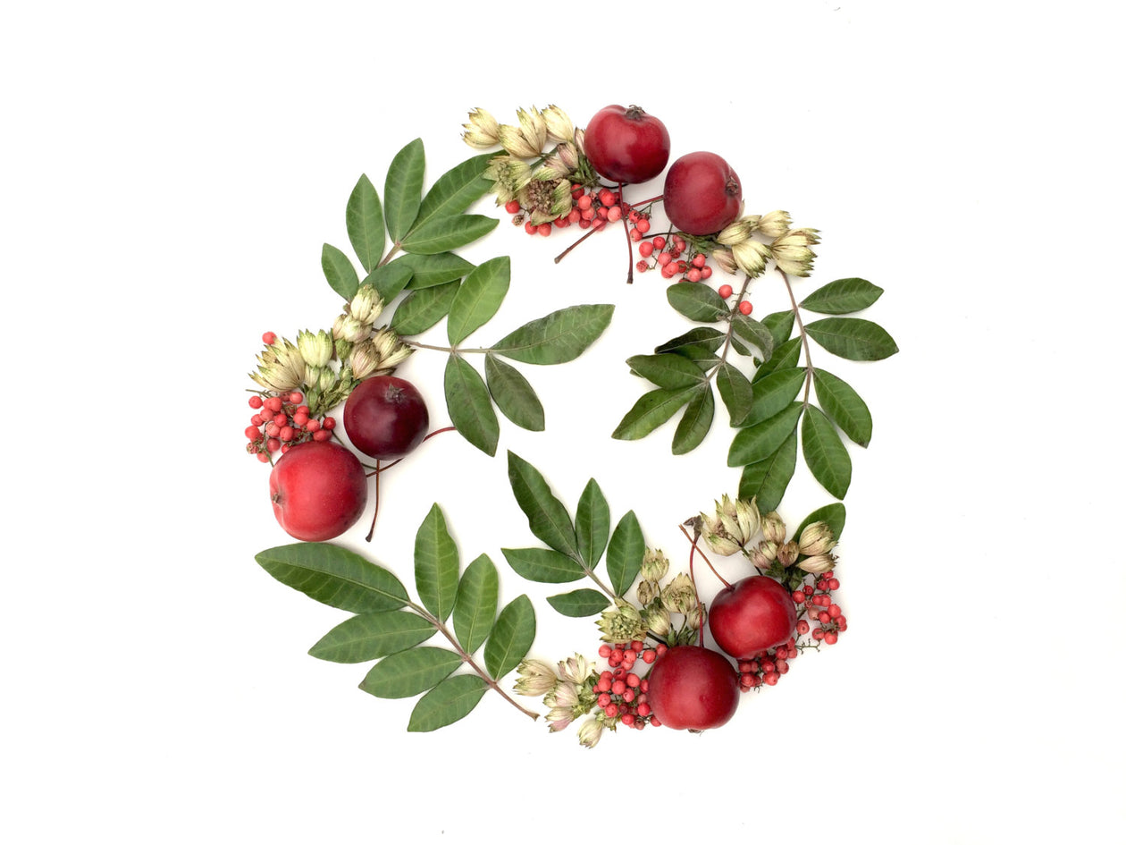 Folding card - Red crabapples wreath