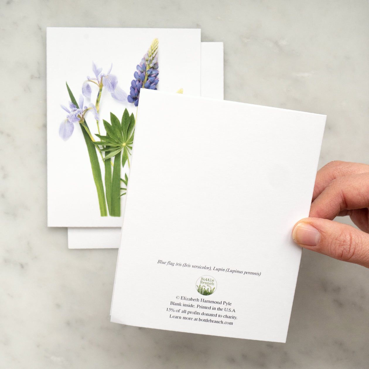 Folding card - Iris and Lupin