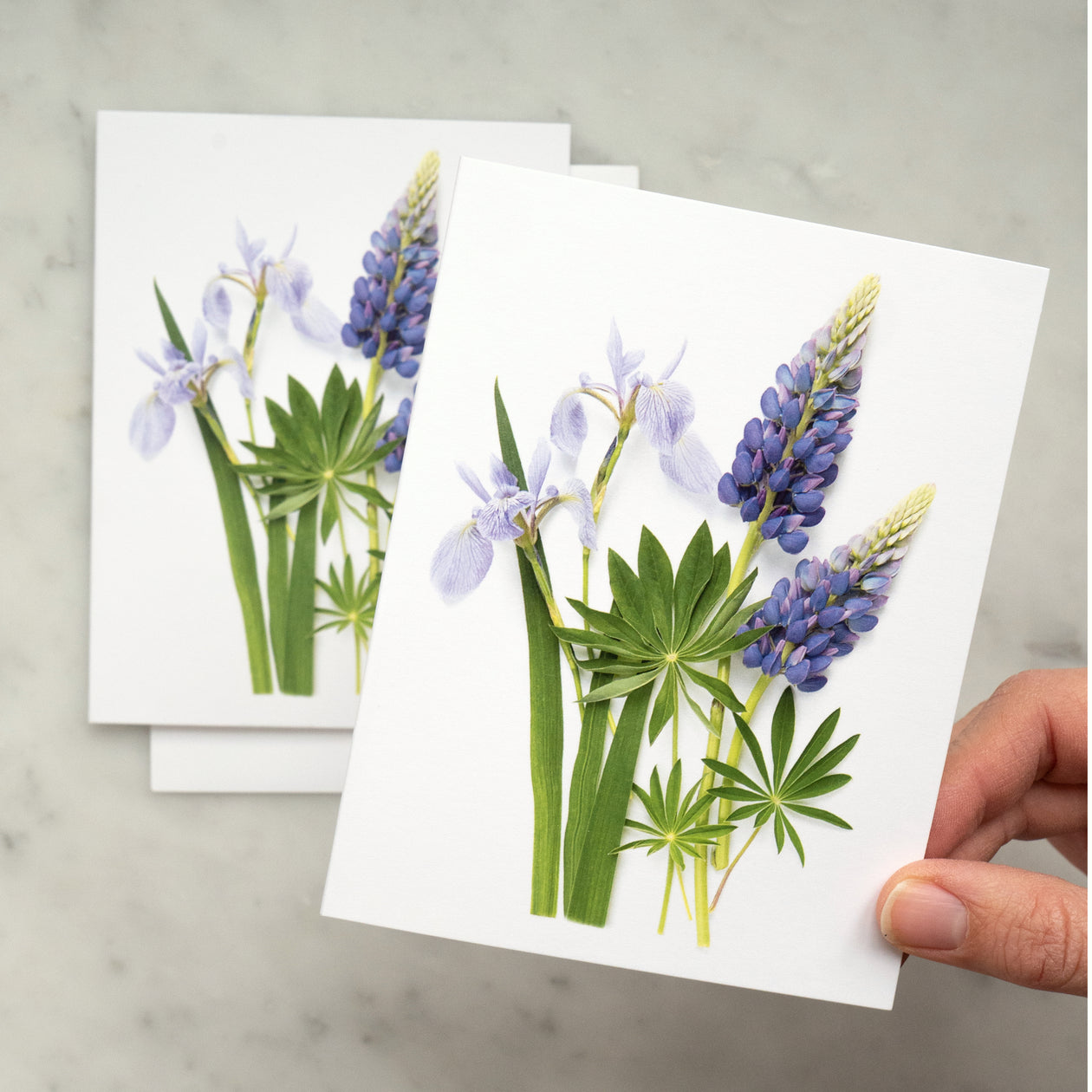 Folding card - Iris and Lupin