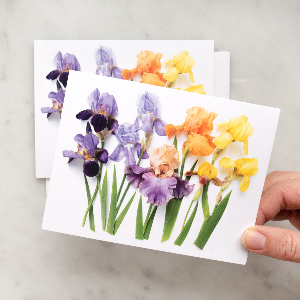 Folding card - Irises