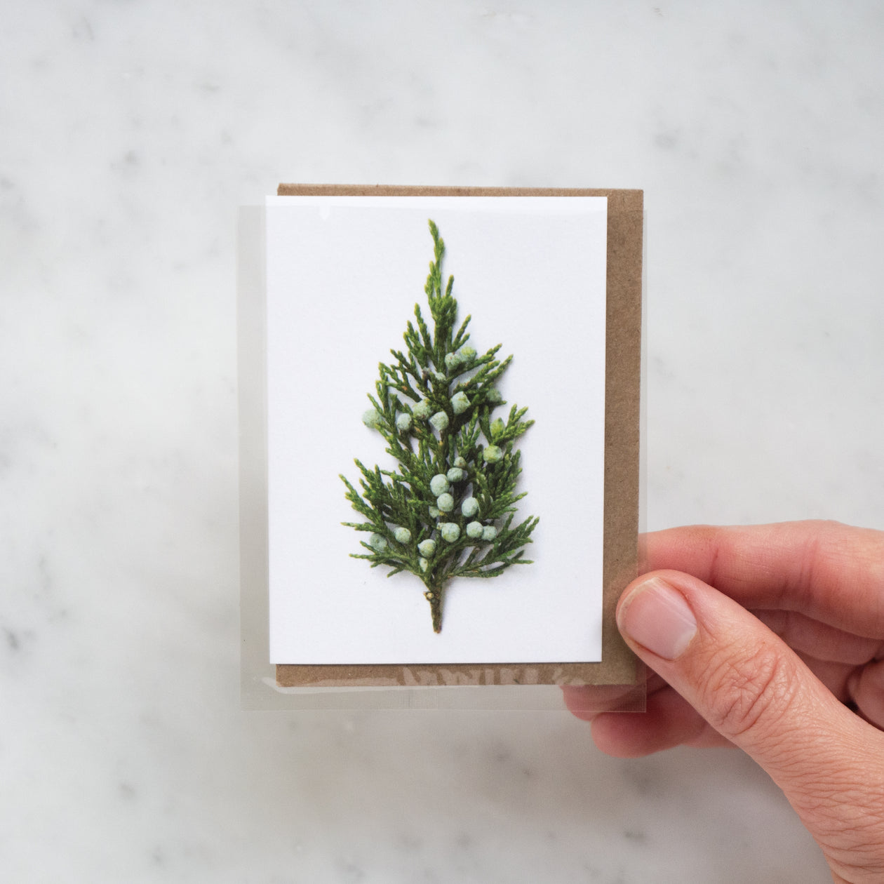 Mini card - tiny tree