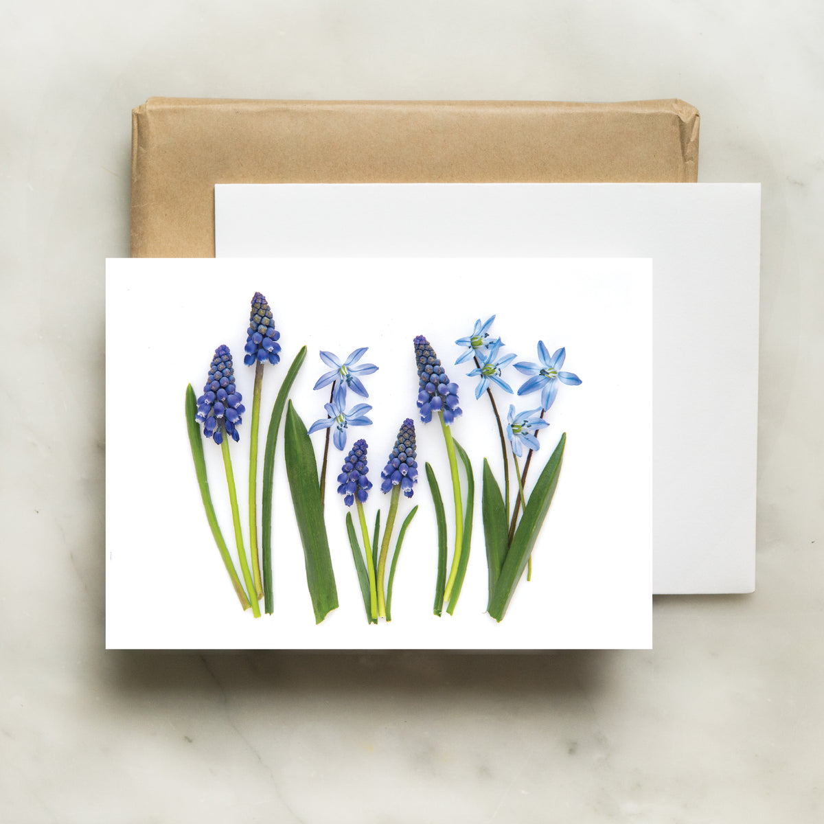 Blue Spring Card Folding card - Blue Spring card – BottleBranch