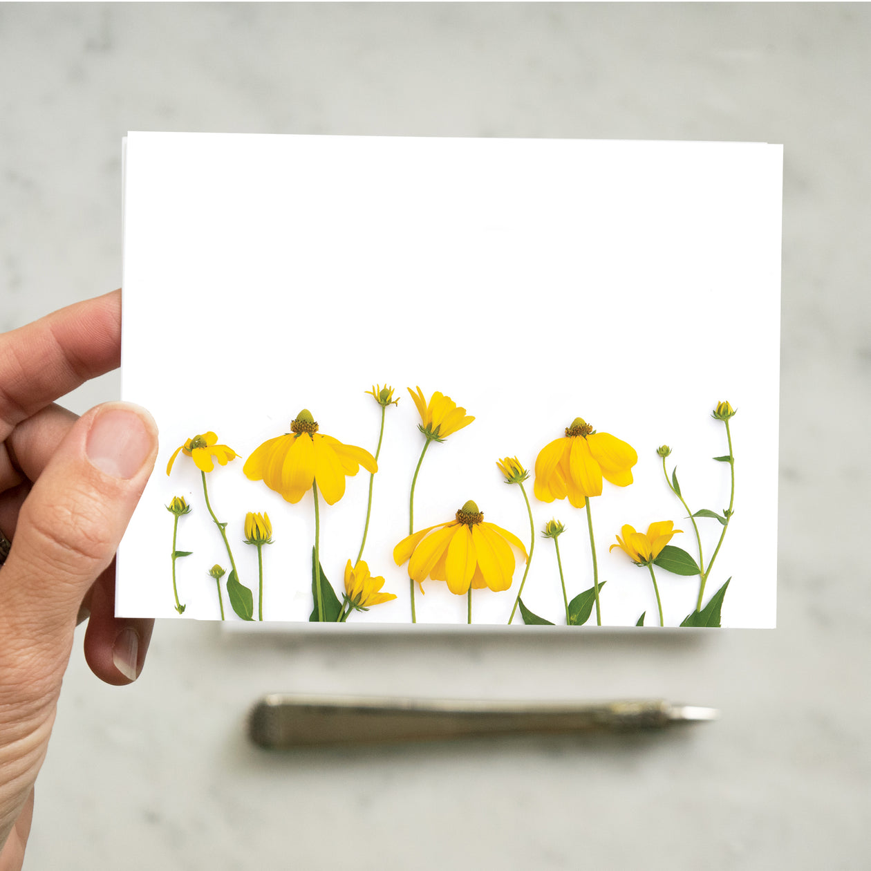 Flat card set - Yellow coneflowers