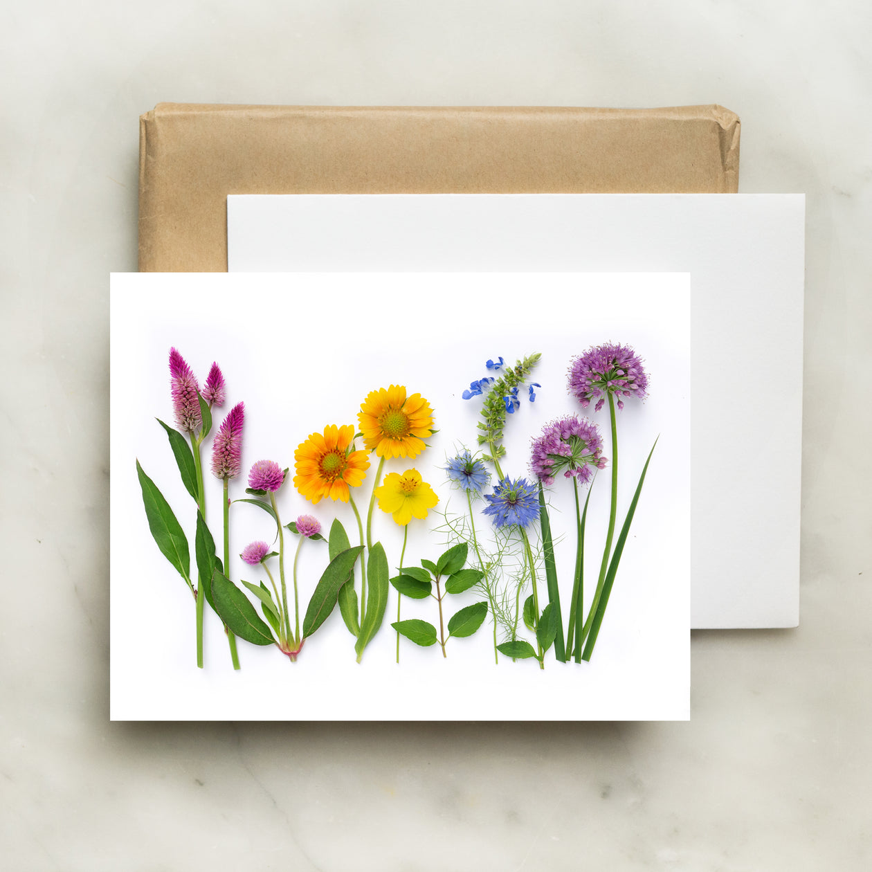 Folding card - Rainbow with Allium