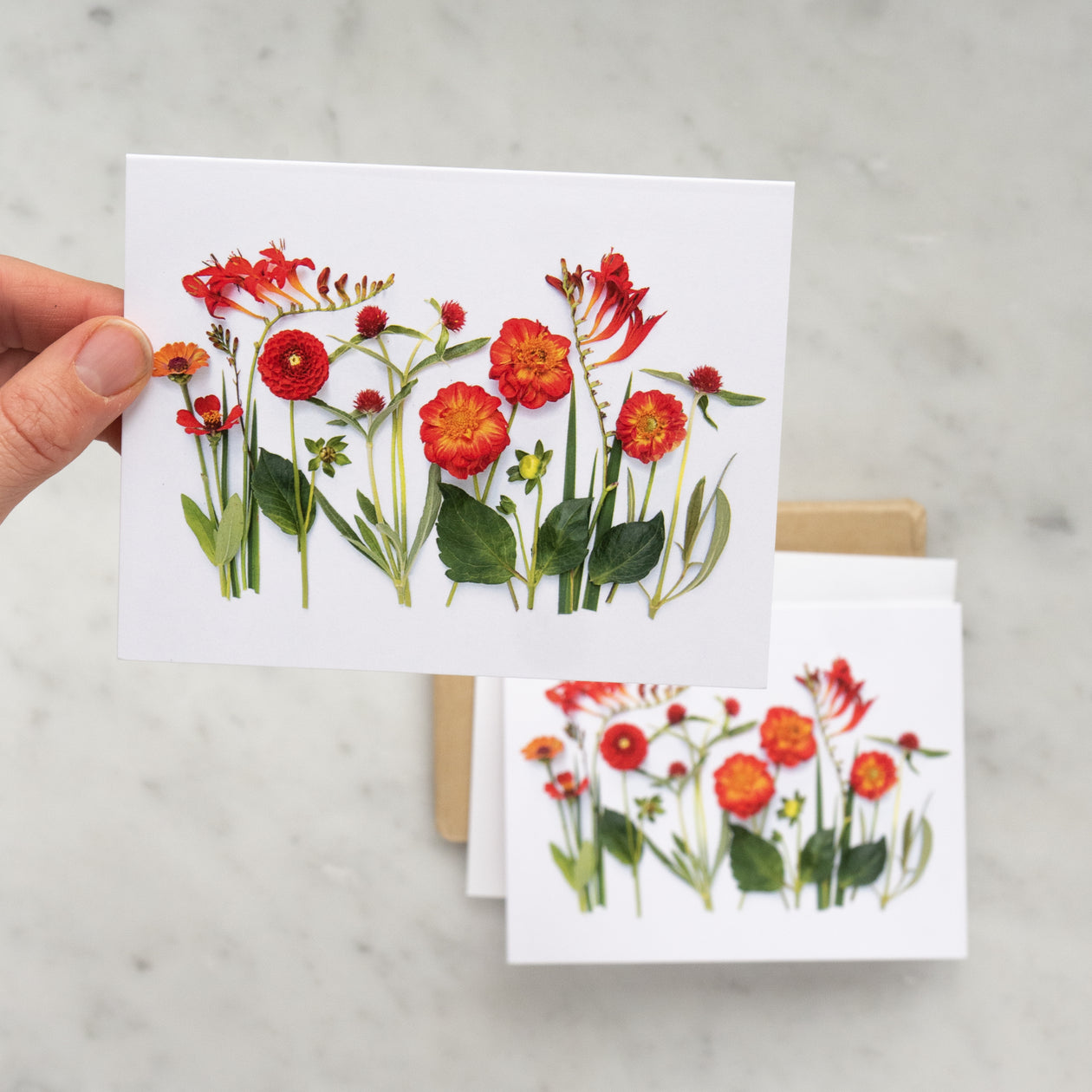 Folding card - Red dahlias