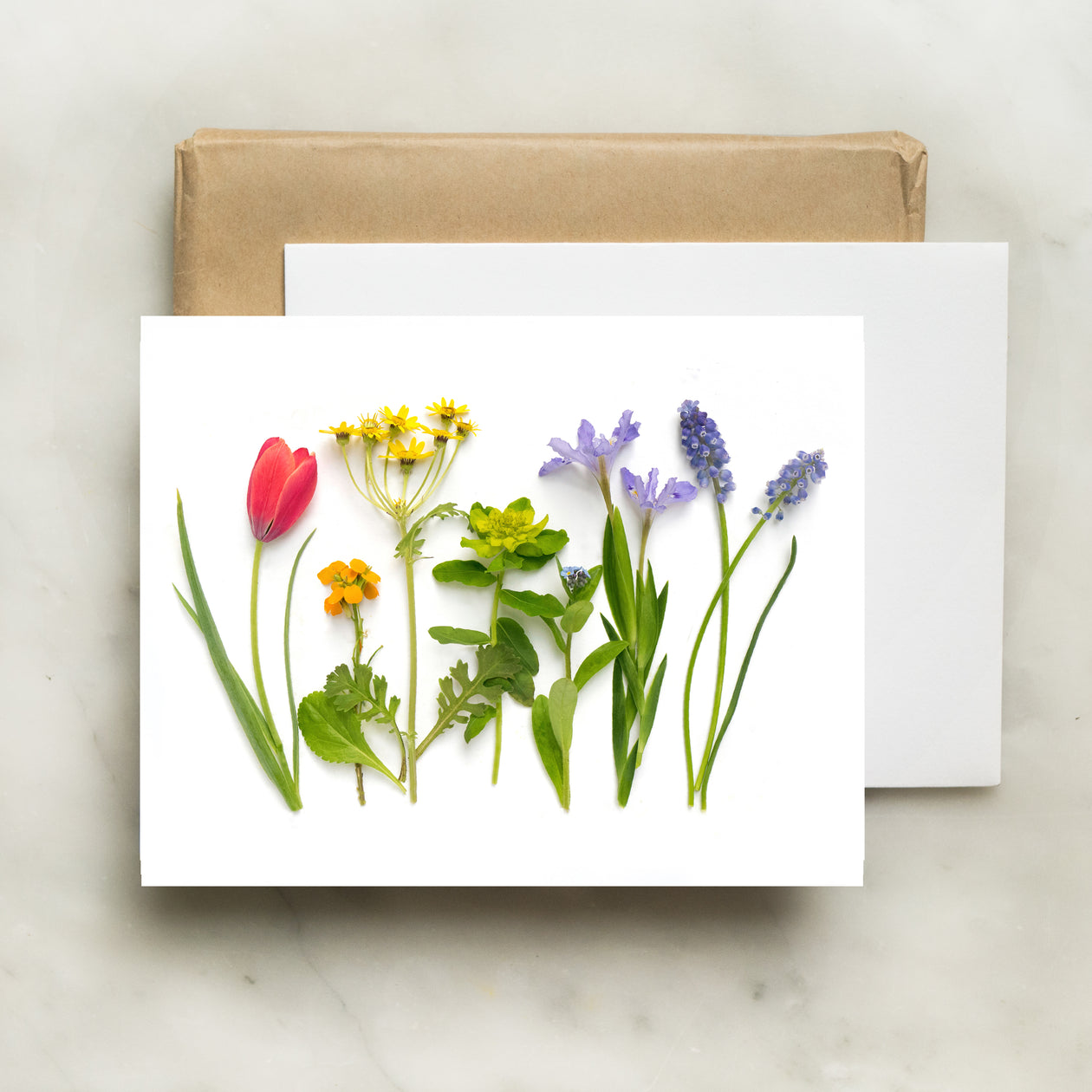 Folding card - Spring rainbow with red tulip