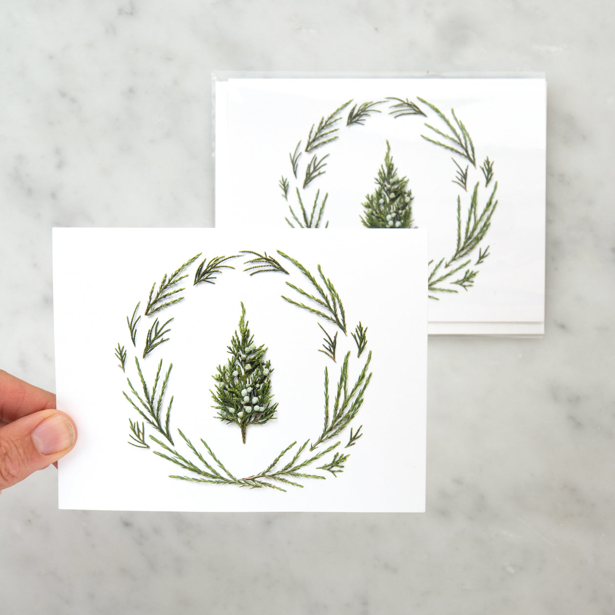 Folding card -  Tiny tree