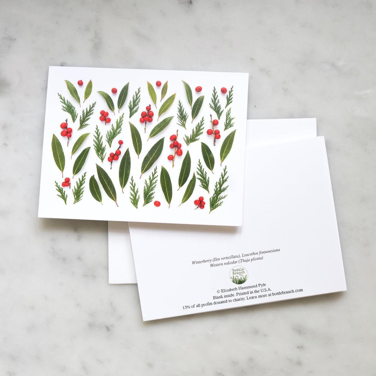 Folding card - Winterberries