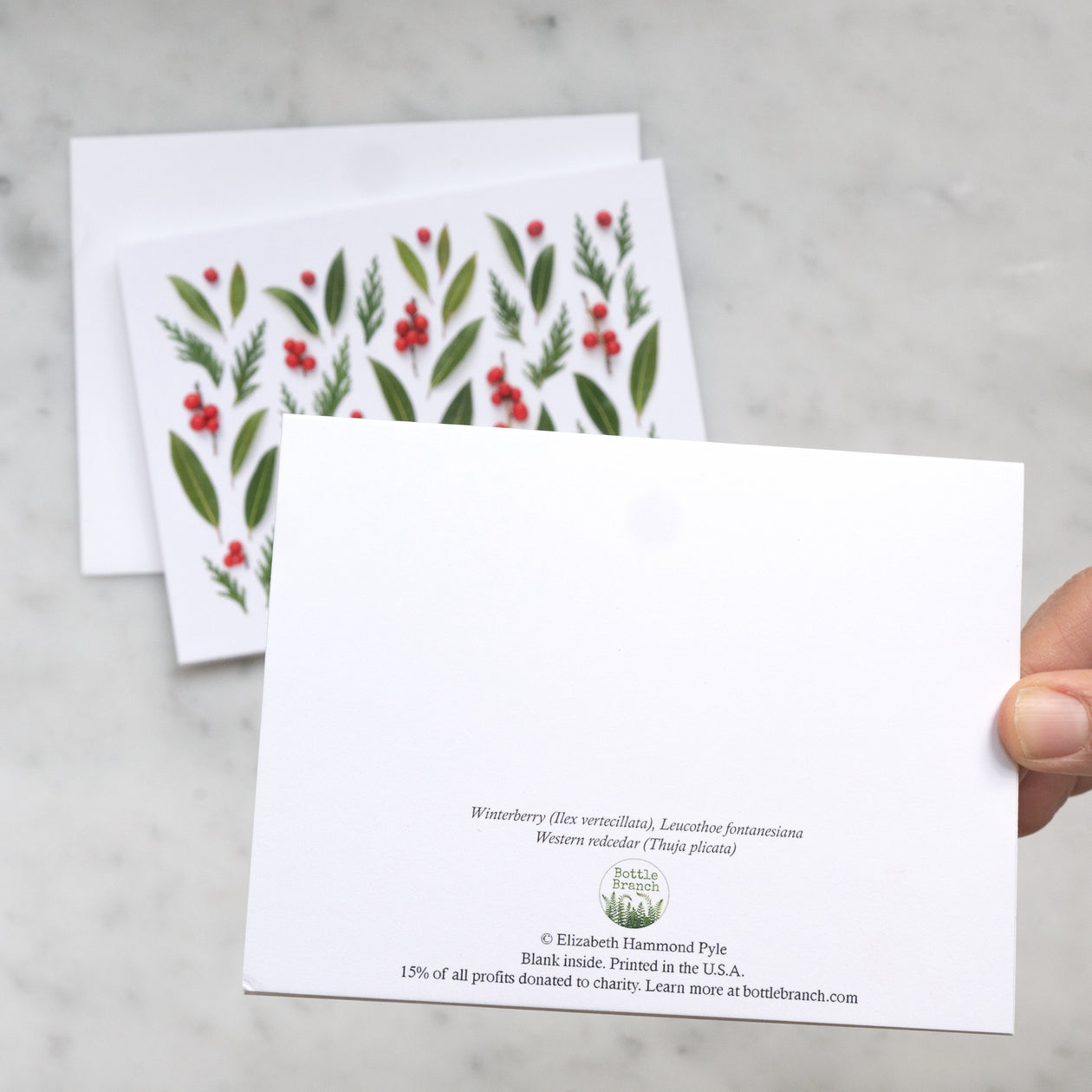 Folding card - Winterberries